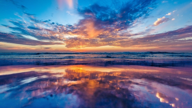 开元官网寝室健身器材篮球